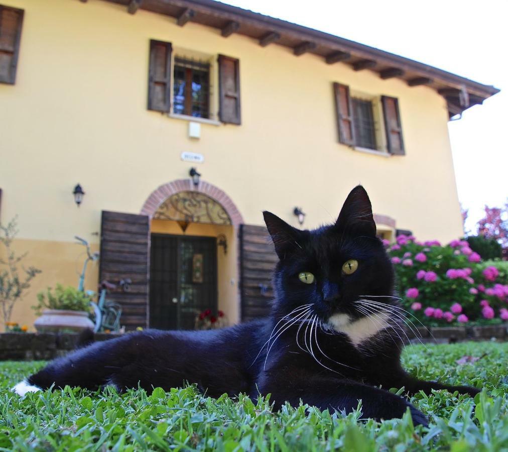 Bed and Breakfast Casale La Decima Будрио Экстерьер фото